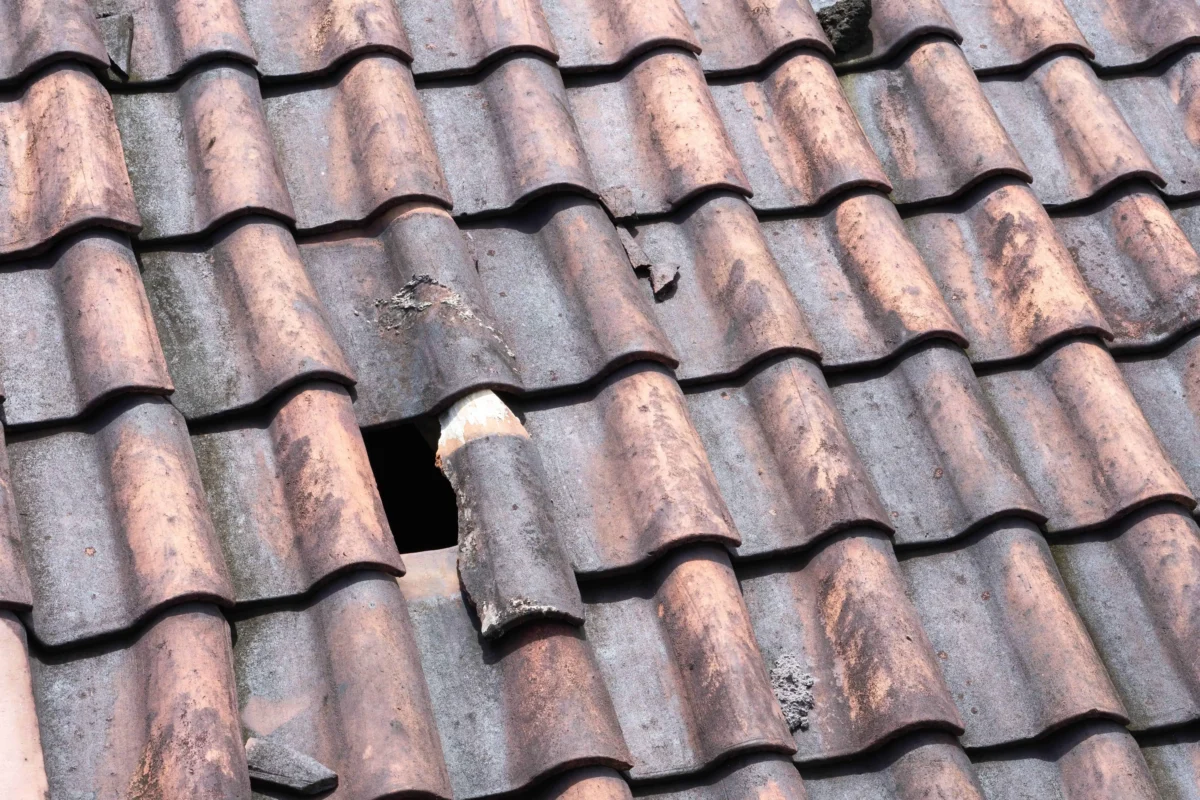 Close detail of new roof tiles